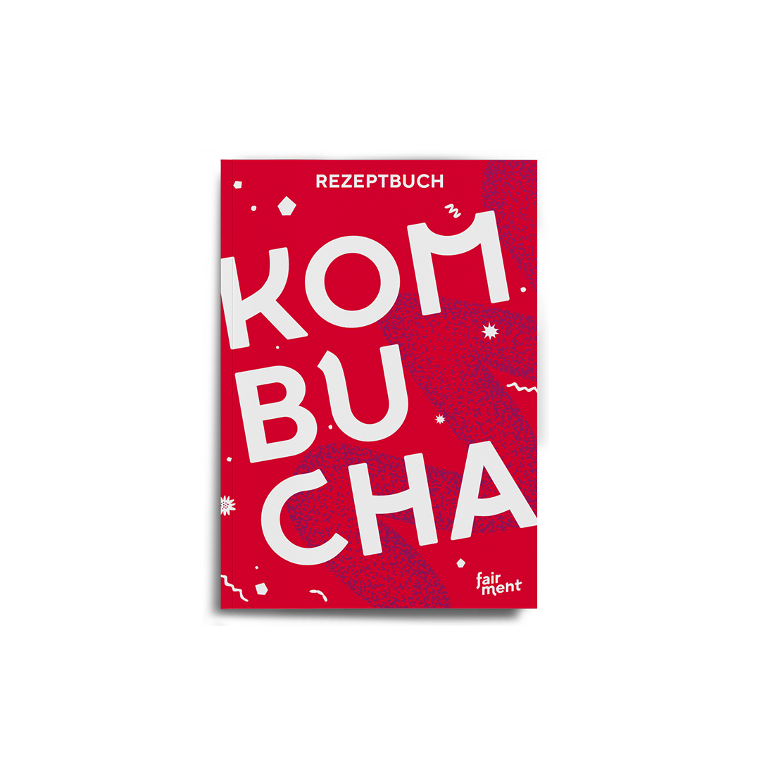 Kombucha Rezeptbuch: 28 kreative Rezepte (E-Book)