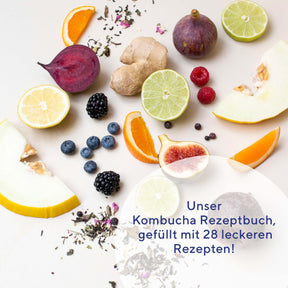 kombucha-rezeptbuch-fermentation-e-book-digital