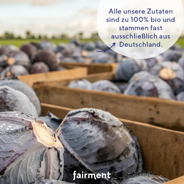 Rohkost, fairment, fermentiertes Kraut, Sauerkraut, Rotkohl, fermentierte Lebensmittel, fermentation, probiotisch, Kraut, Kultur Kraut