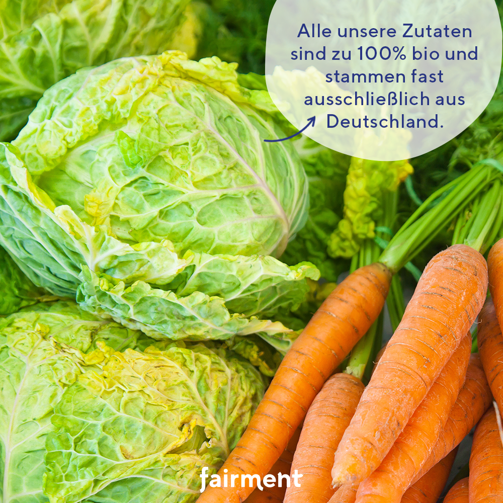 Rohkost, fairment, fermentiertes Kraut, Sauerkraut, Rotkohl, fermentierte Lebensmittel, fermentation, probiotisch, Kraut, Kultur Kraut