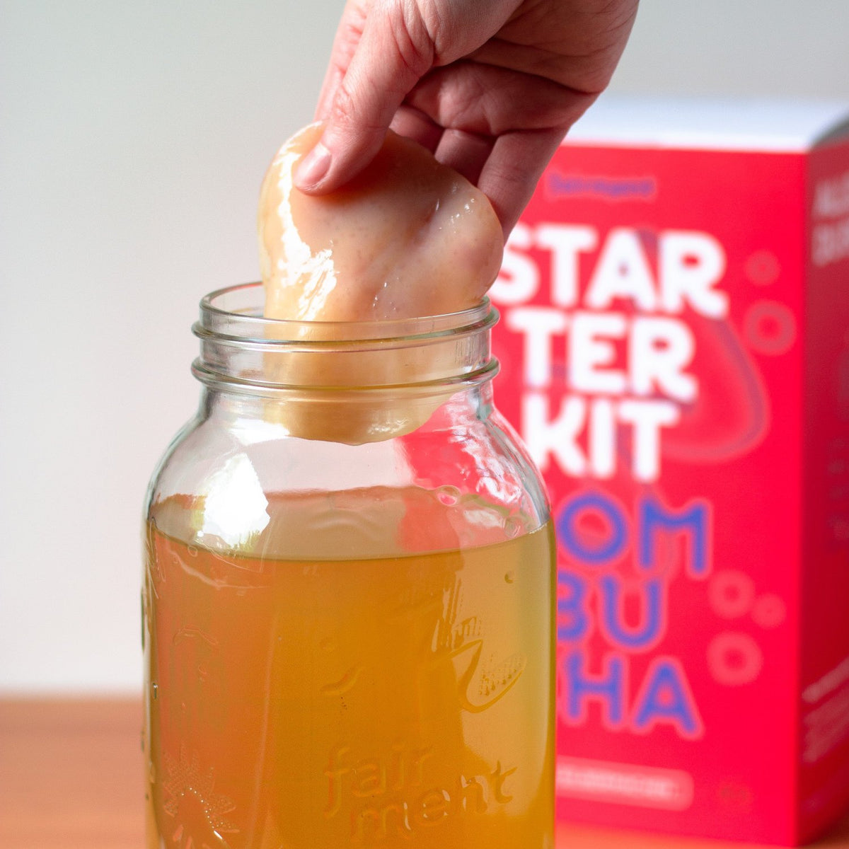 Fermentier Gläser, Fermentationsglas, Einmachglas, Weckgläser, Mason Jar, Fermentieren Zubehör, Fermentation, Kombucha, Scoby