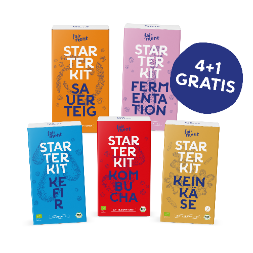 Senden Alt-Text bearbeiten 5er-fairment-starter-kit-selbermachen-fermentieren-kombucha-vegan
