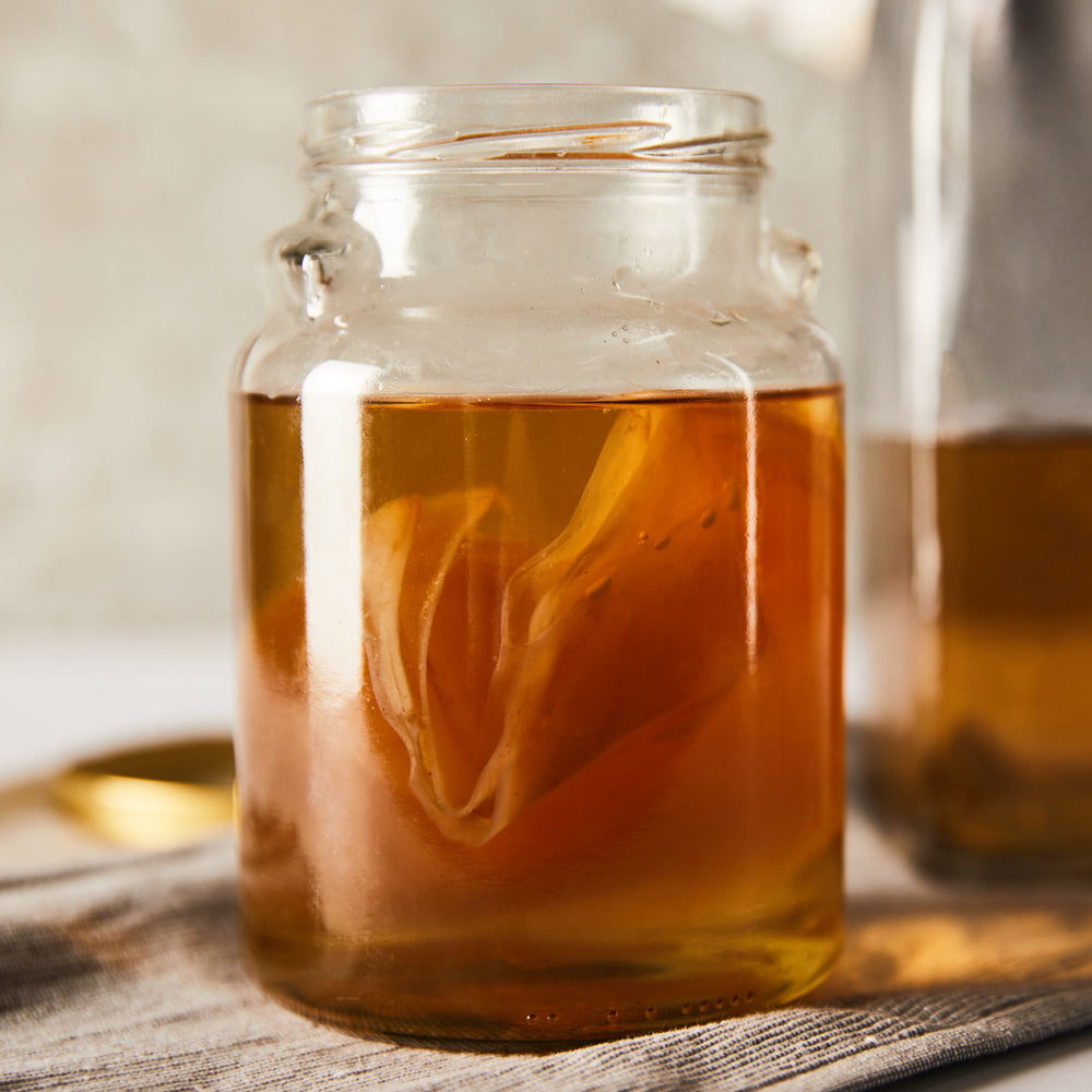 Kombucha, Kombucha Pilz, Scoby, Teepilz, Kombucha Kultur, Scoby kaufen, Kombucha Teepilz, Starterflüssigkeit, fermentiert, fermentation, fairment