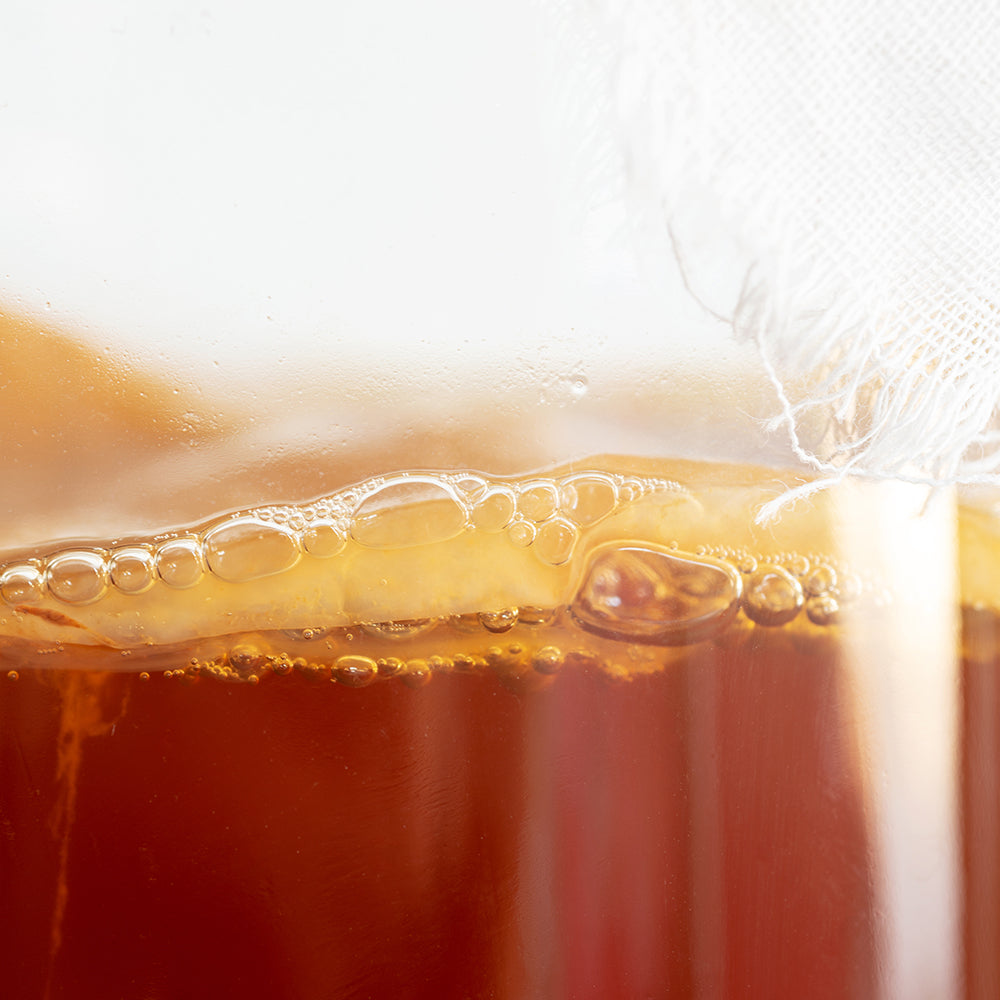 Kombucha, Kombucha Pilz, Scoby, Teepilz, Kombucha Kultur, Scoby kaufen, Kombucha Teepilz, Starterflüssigkeit, fermentiert, fermentation, fairment