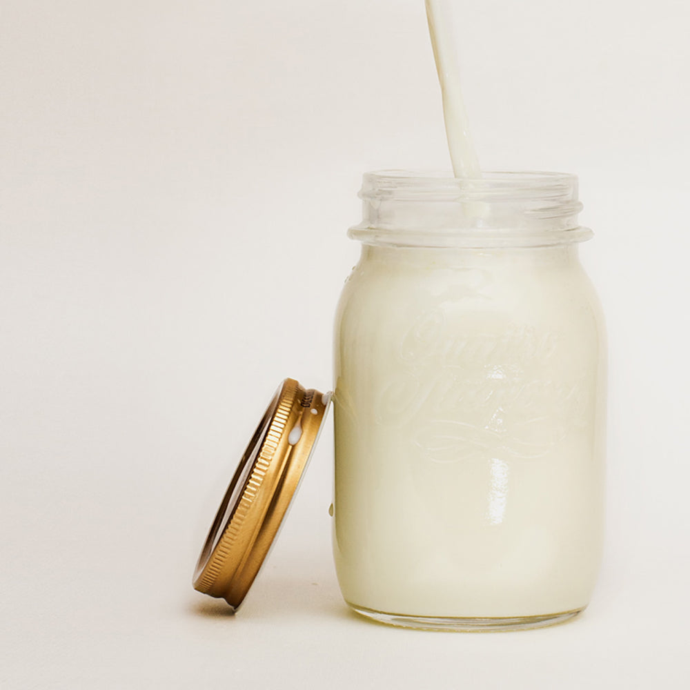 kefirknollen, kefir pilz, Kefir knolle, Milchkefirknollen, Milchkefir, Kefir kultur, bio kefirknollen, fermentieren, fairment, fermentation, probiotisch, Milchkefir, Kefir