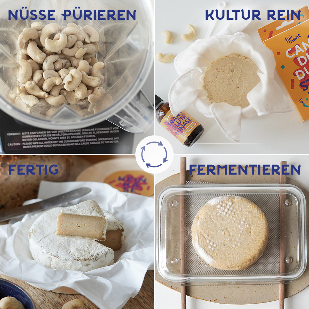 veganer Camembert, fermentiert, fairment, Fermentation, veganer Käse, vegan cheese, Cashewbert, Käsekultur, Käse Starter, veganer Frischkäse, Käsealternative, Käseersatz, Starter Kit Keinkäse