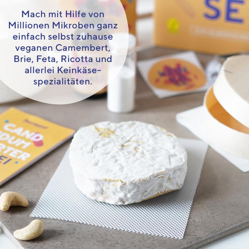 veganer Camembert, fermentiert, fairment, Fermentation, veganer Käse, vegan cheese, Cashewbert, Käsekultur, Käse Starter, veganer Frischkäse, Käsealternative, Käseersatz, Starter Kit Keinkäse, vegan, bio