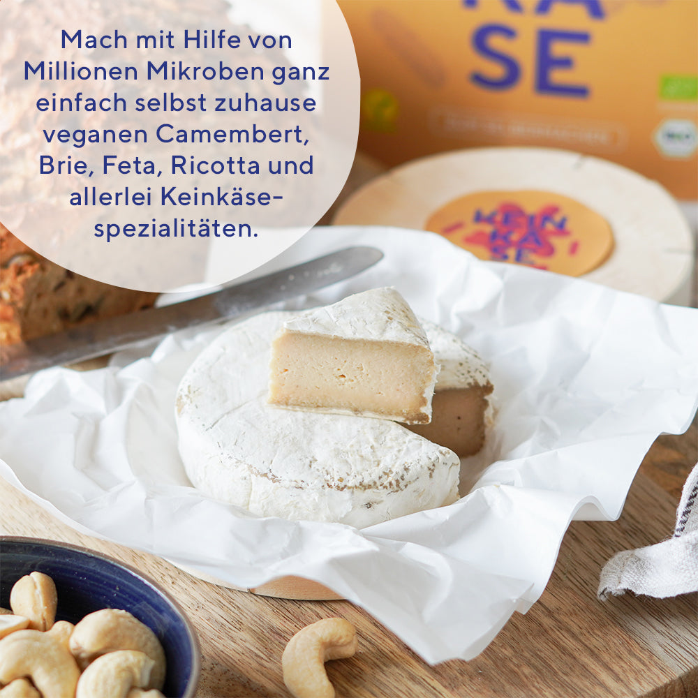 veganer Camembert, fermentiert, fairment, Fermentation, veganer Käse, vegan cheese, Cashewbert, Käsekultur, Käse Starter, veganer Frischkäse, Käsealternative, Käseersatz, Starter Kit Keinkäse