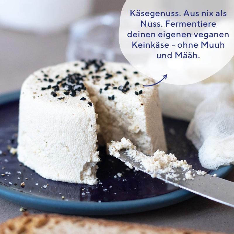 veganer Camembert, fermentiert, fairment, Fermentation, veganer Käse, vegan cheese, Cashewbert, Käsekultur, Käse Starter, veganer Frischkäse, Käsealternative, Käseersatz, Starter Kit Keinkäse, vegan, bio