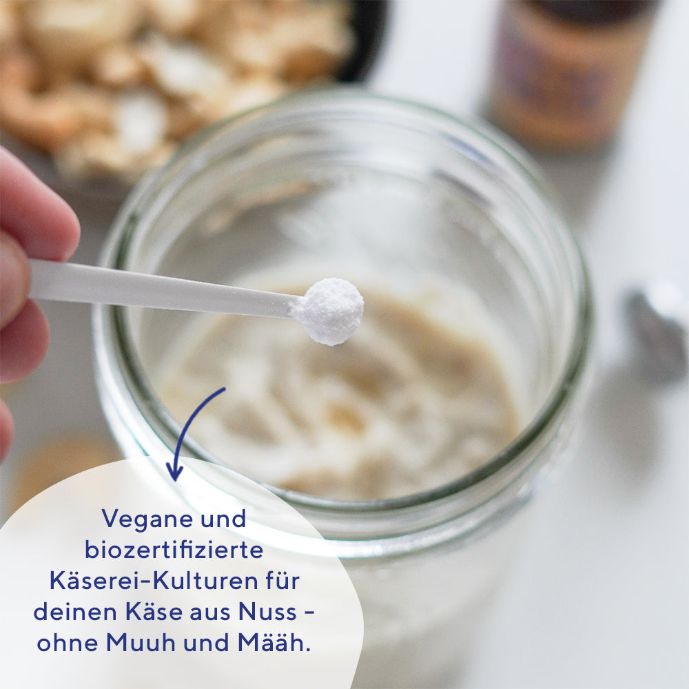 veganer Camembert, fermentiert, fairment, Fermentation, veganer Käse, vegan cheese, Cashewbert, Käsekultur, Käse Starter, veganer Frischkäse, Käsealternative, Käseersatz, Starter Kit Keinkäse