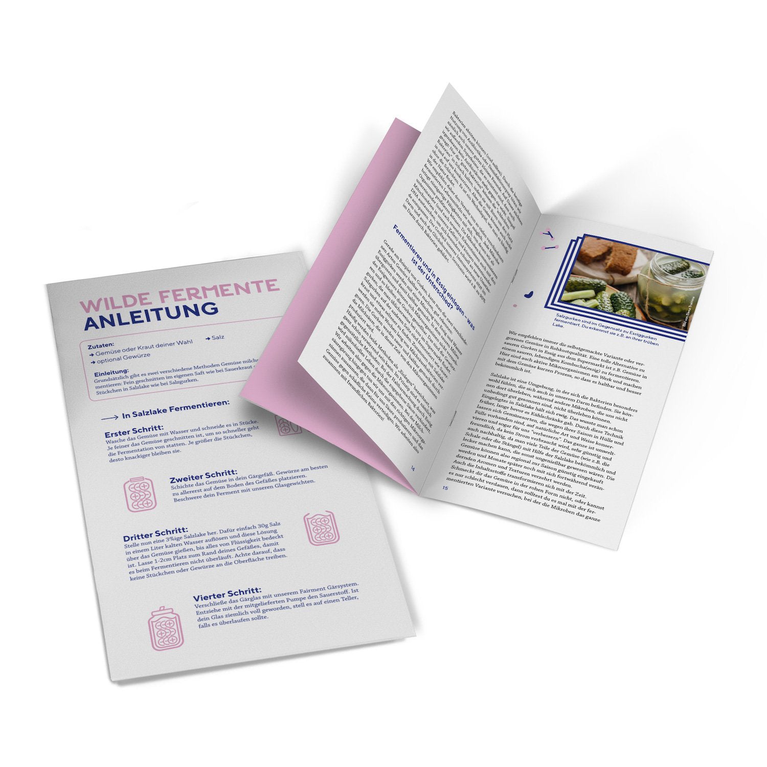 Fermentations Starter Kit - wilde Fermente selber machen