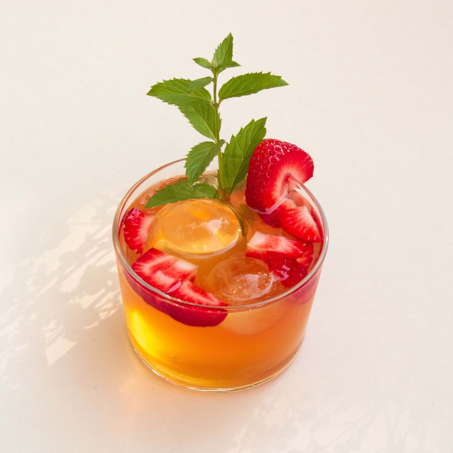 Kombucha Starter Kit - Bio Kombucha selber machen