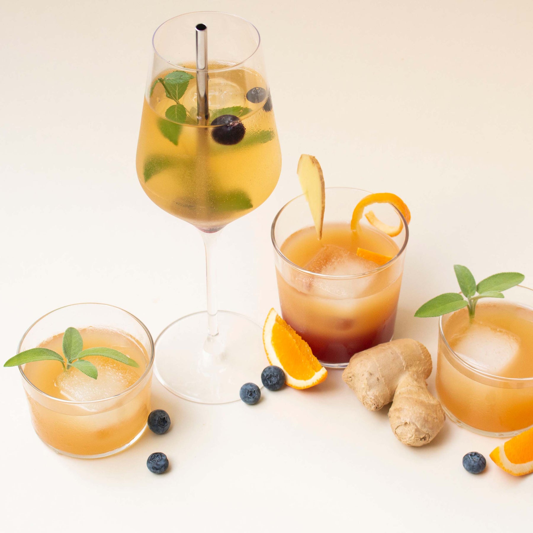 Kombucha Starter Kit - Bio Kombucha selber machen