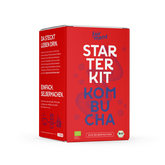 Kombucha Starter Kit - Bio Kombucha selber machen
