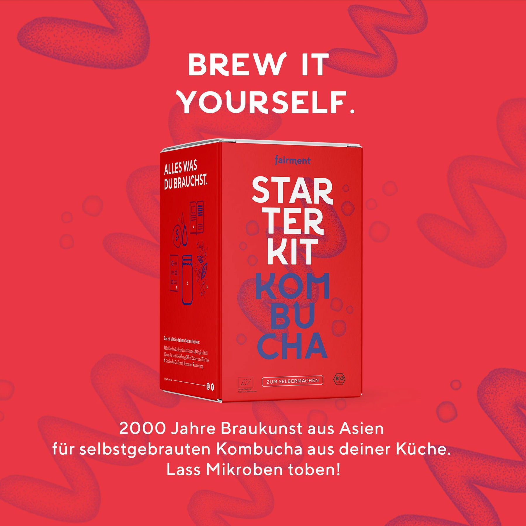 Kombucha Starter Kit - Bio Kombucha selber machen