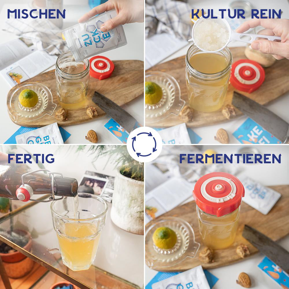 Wasserkefir Starter Kit - Bio Wasserkefir selber machen