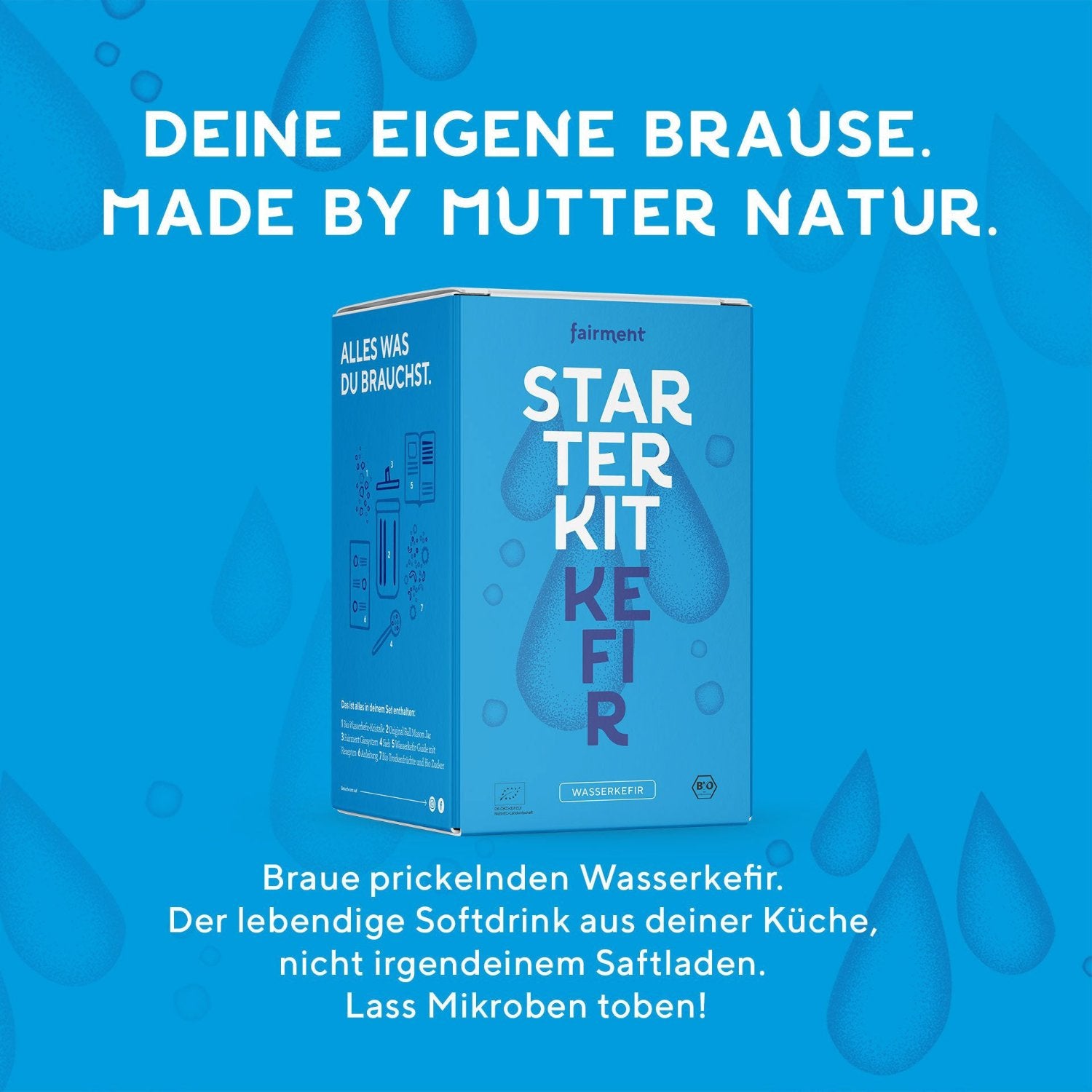 Wasserkefir Starter Kit - Bio Wasserkefir selber machen