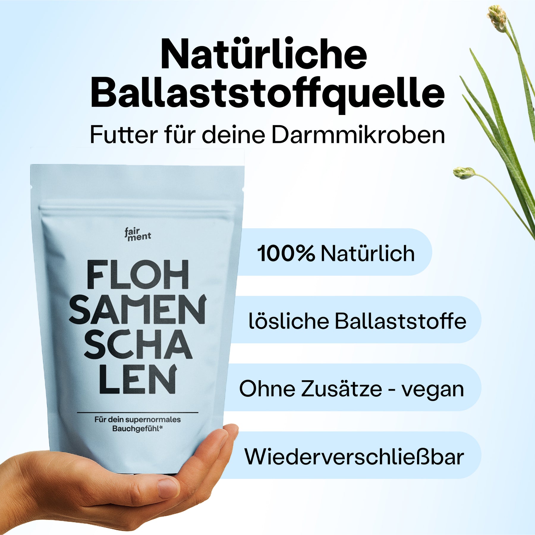 Flohsamenschalen
