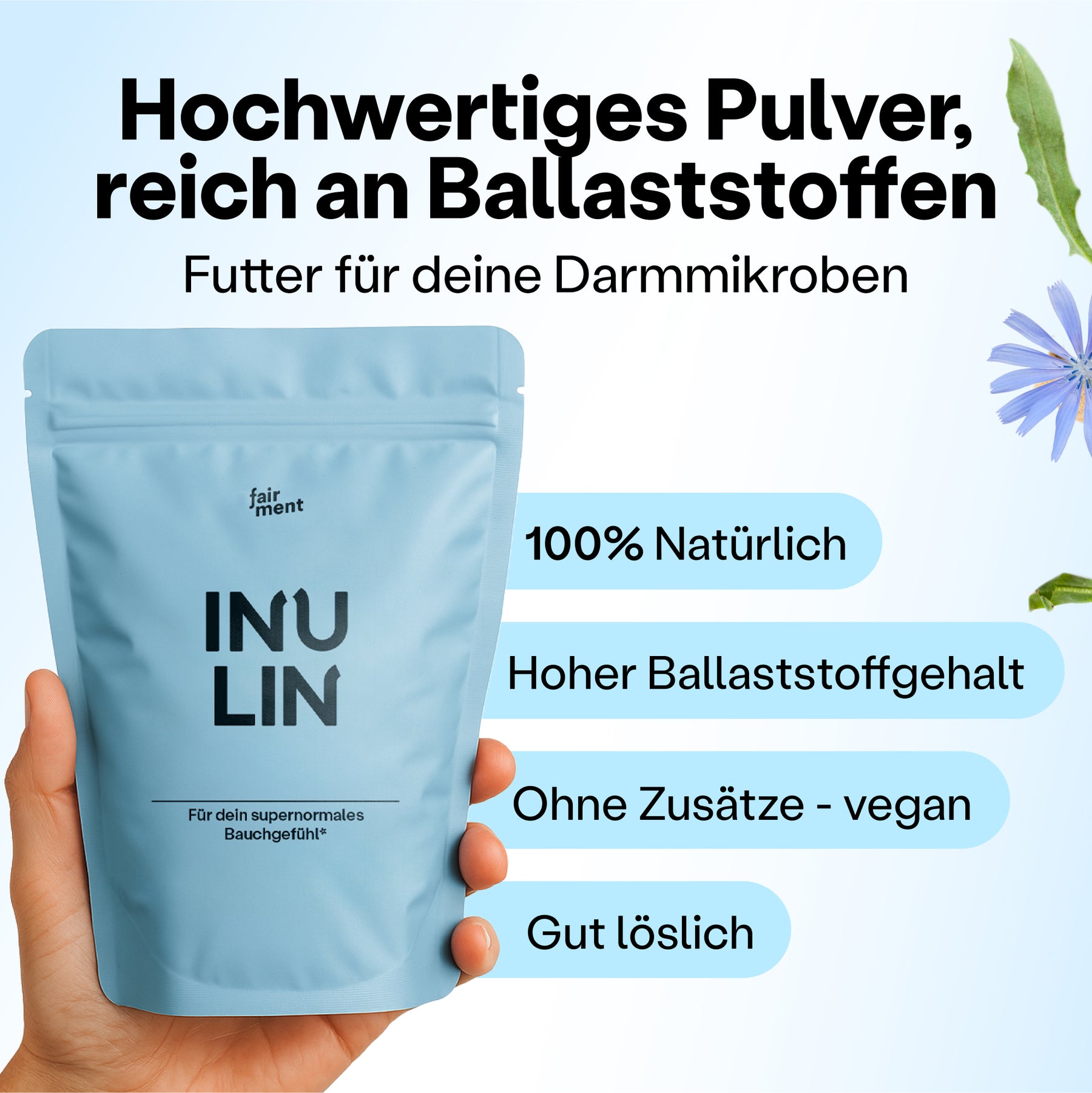 Inulin Pulver