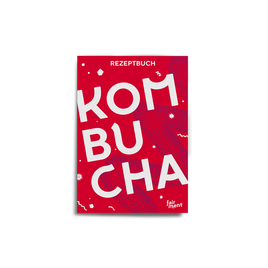 Kombucha Rezept Buch: Anleitung für 28 Kreationen (E-Book)