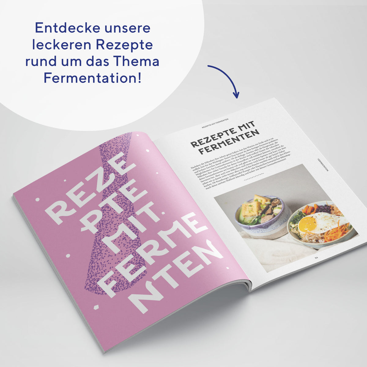 gemüse-rezeptbuch-fermentation-e-book-digital