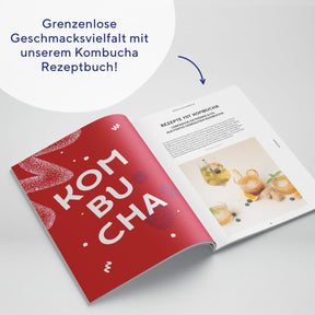 kombucha-rezeptbuch-fermentation-e-book-digital