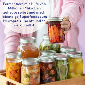 5er-fairment-starter-kit-selbermachen-fermentieren-kombucha-vegan