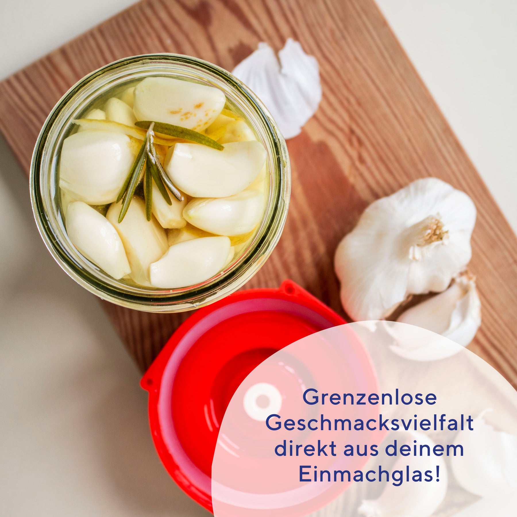 gemüse-rezeptbuch-fermentation-e-book-digital