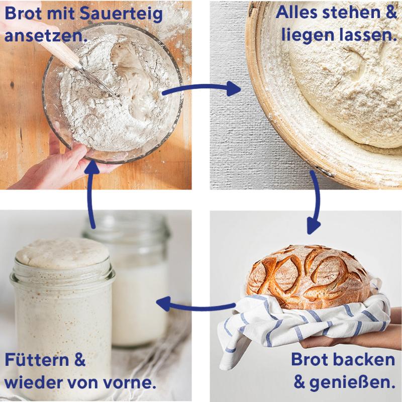 Roggensauerteig, Sauerteigbrot backen, Sauerteig Starter, Sauerteig Ansatz, Sauerteig, fairment, veganer Sauerteig, vegan, bio, fermentation, fermentiert, brot backen