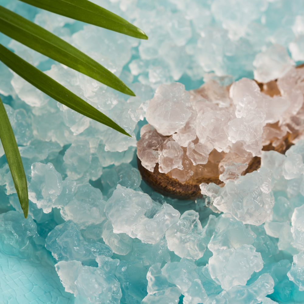 wasserkefirkristalle aufbewahren Bio Wasserkefir Kristalle (30 g)